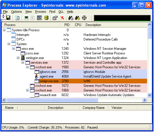 Process Explorer View